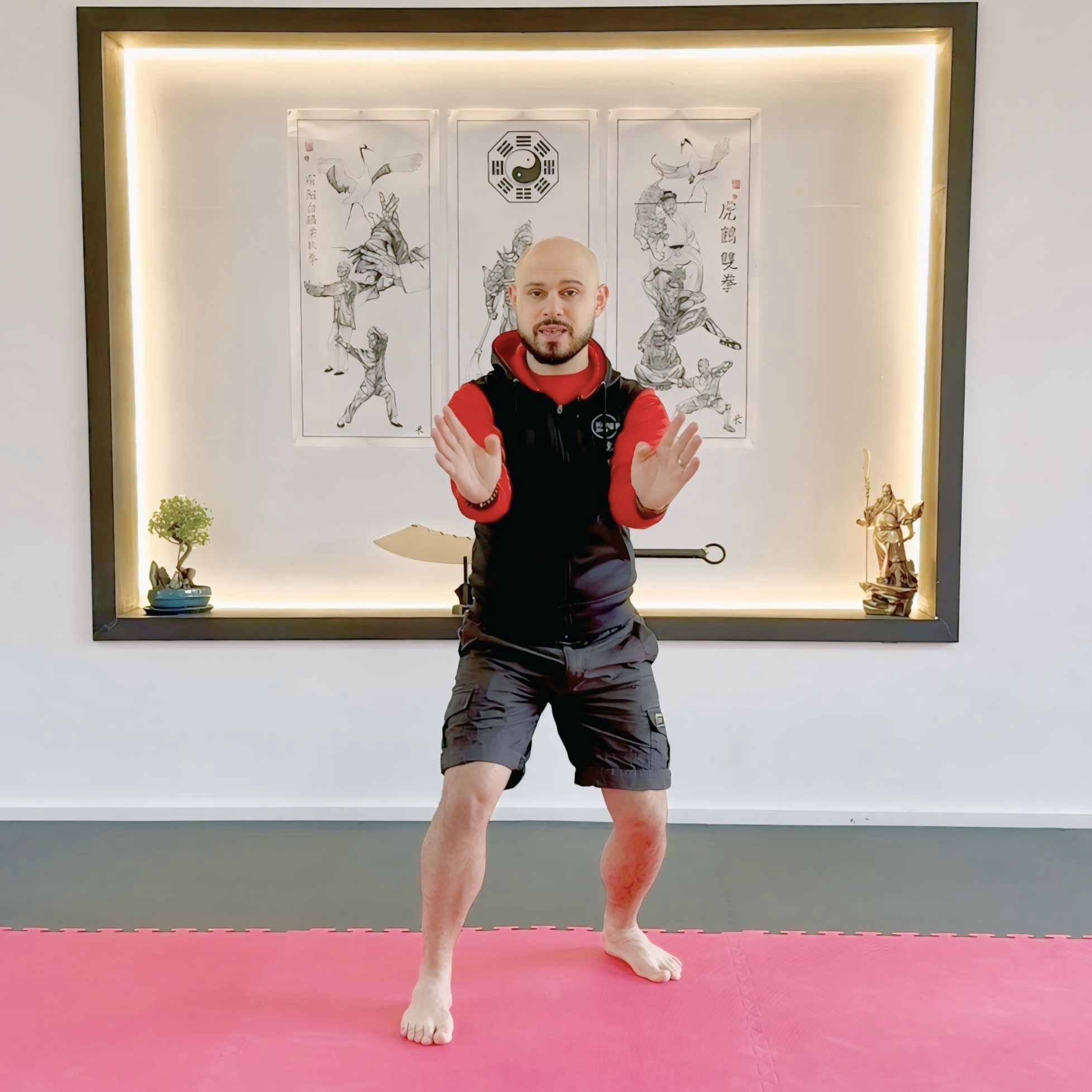 online kung fu lessons